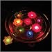 Floating Light Garden 3-pk.