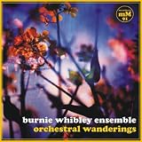 Burnie Whibley Ensemble - Airport (Love Theme)