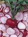 Radish, Champion Photographic Poster Print by Wally Eberhart, 30x40