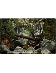 Entertainment Memorabilia: Boulder Creek, Bracken Brae Boulder Creek, California Original Vintage Postcard - M. Rieder Publisher