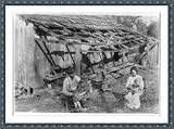 Historic Print (S): Frank Burditt and family. They rent this dilapidated shank [i.e., shack] and are trying