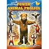 Power Animal Frolics--T'ai Chi / Yoga / Qigong For Children
