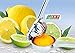 SKT Single Press Lemon Lime Squeezer, Manual Steel Citrus Press Dishwasher Safe and Anti Corrosive