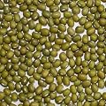 中国産 緑豆 【1kg】