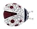 Jodie Rose - 15773 - Broche Femme - Métal - Cristal