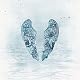 Ghost Stories Live-CD+DVD