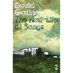 The Half-Life of Songs (Salt Modern Fiction)