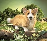 Plush Corgi Puppet 16