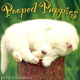 Pooped Puppies 2008 Mini Calendar