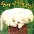 Pooped Puppies 2008 Mini Calendar