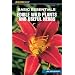 Basic Essentials Edible Wild Plants and Useful Herbs, 3rd (Basic Essentials Series)