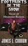 Footprints in the Snow: True Tales of Haunted Russia