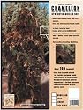 BushRag CHAMELEON Ghillie Suit Woodland Large Hunting