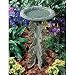 Butterfly Birdbath and Pedestal