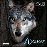 Wolves 2011. What a Wonderful World