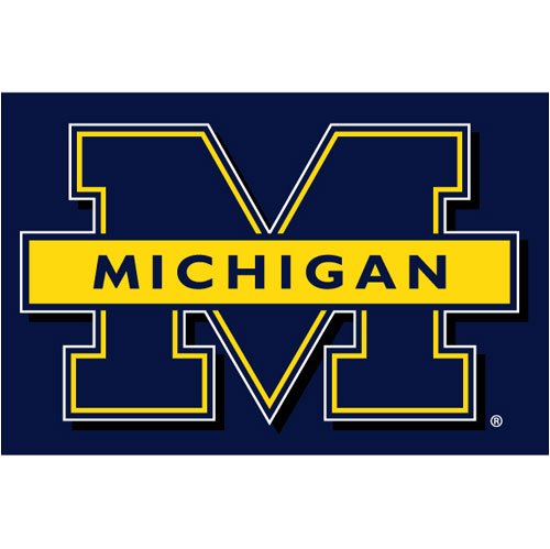 Michigan Wolverines NCAA Tufted Rug (39 x59 )