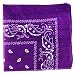 Urban Boundaries 100% Cotton Bandanna (Available in Paisley, Camouflage, Budweiser, Country Flags, and Novelty Styles -- 50+ options)