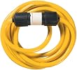 Woods 1381 Yellow Jacket 25-Foot 10/4 STW 20 Amp/250 Volt Rated Generator Cord