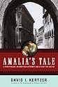 Amalia's Tale: A Poor Peasant, an Ambitious Attorney, and a Fight for Justice