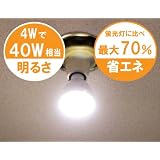 ラブロス Magic Bulb バッテリー内臓 LED電球 (外せば懐中電灯に早変わり! ・E26口金・一般電球形・白熱電球40W相当・240ルーメン・昼白色相当) MB4W-B