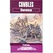 Combles: Somme (Battleground Europe)