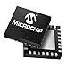 Digital Signal Processors & Controllers - DSP, DSC 16B 256KB FL 32KBR 60MHz 28P OpAmps (1 piece)