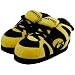 Iowa Hawkeyes Gold Sneaker Slippers