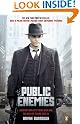 Public Enemies: America's...