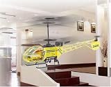 Helikopter Modell Dragonfly Lama Verbrenner Look 3-Kanal RTF