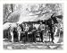 Historic Print (L): [6 American soldiers posed with rifles in camp in the Philippines]