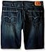 Levi's Men's Big and Tall 569 Loose Shorts