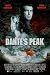 Dante's Peak Reg Single Sided Original Movie Poster 27x40