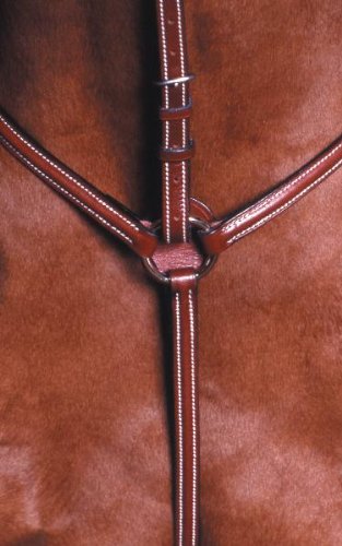 Kincade Raised Breastplate Standing