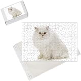 Photo Jigsaw Puzzle of JD-14511 CAT- Persian - Red Shell Cameo from Ardea Wildlife Pets