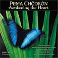 Pema Chodron, Awakening the Heart 2009 Wall Calendar