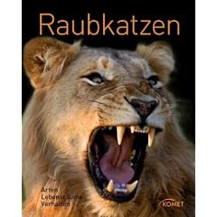 Raubkatzen: Arten, Lebensraum, Verhalten