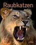 Raubkatzen: Arten, Lebensraum, Verhalten