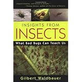 Insights From Insects: What Bad Bugs Can Teach Us