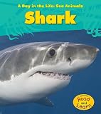 Cover for 9781432940102