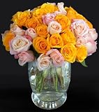 Send Fresh Cut Flowers - 50 Long Stem Assorted Roses