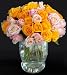 Send Fresh Cut Flowers - 50 Long Stem Assorted Roses