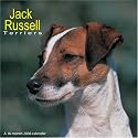 Jack Russell Terriers 2008 Wall Calendar