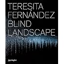 Teresita Fernandez: Blind Landscape