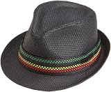 Quiksilver Young Mens Pack Rat Fedora, Black, Small/Medium