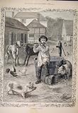 Rustic Apollo Child Farm Farmyard Pigs Calf Dadd 1885
