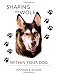 Shaping the Wolf Within Your Dog