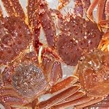 【かなはし水産】◎かなはしカーニバルセット4.0Kg