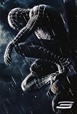 Spider-Man 3 (Black Spidey In Rain) Movie Poster Print - 24