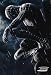 Spider-Man 3 (Black Spidey In Rain) Movie Poster Print - 24
