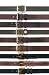 Canterbury - Casual Belts